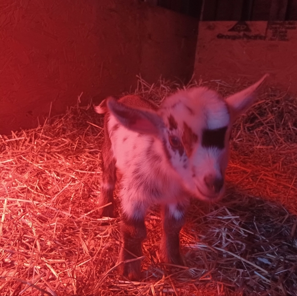 Meet your Posher, Mary - Picture 5 of 16